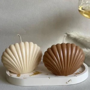 bougie coquille