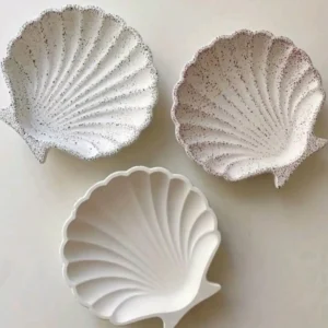 Sea-Shell