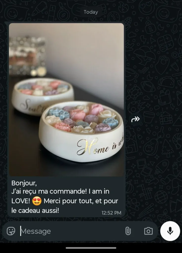 whatsapp image 2026 01 19 at 3.28.00 pm