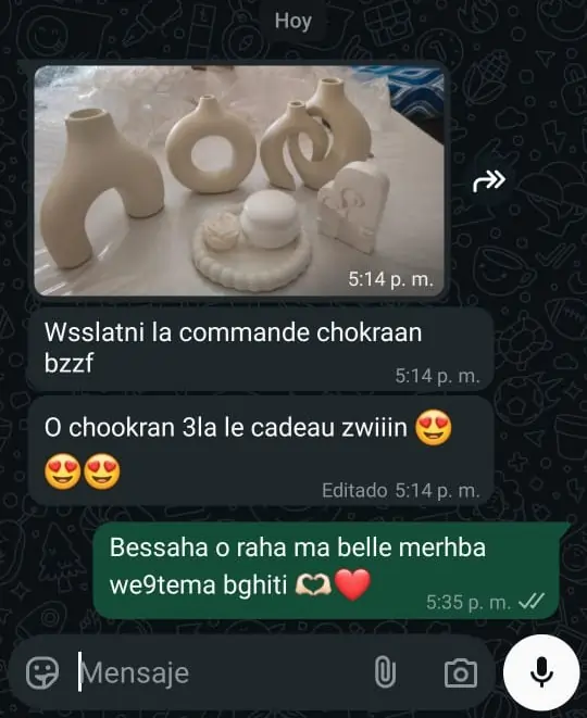 whatsapp image 2026 01 19 at 3.29.54 pm