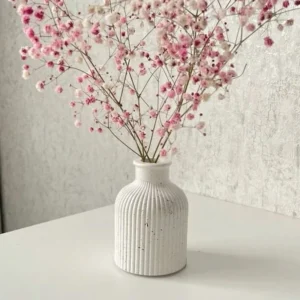 vase rayé