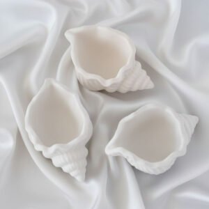 Petite Coquille grande coquille (copie)